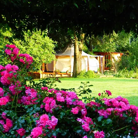 Oasi Degli Dei 랑코