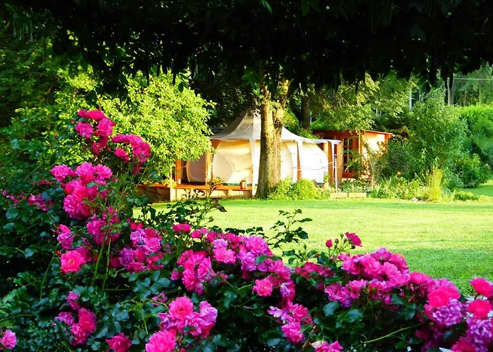 Oasi Degli Dei 랑코