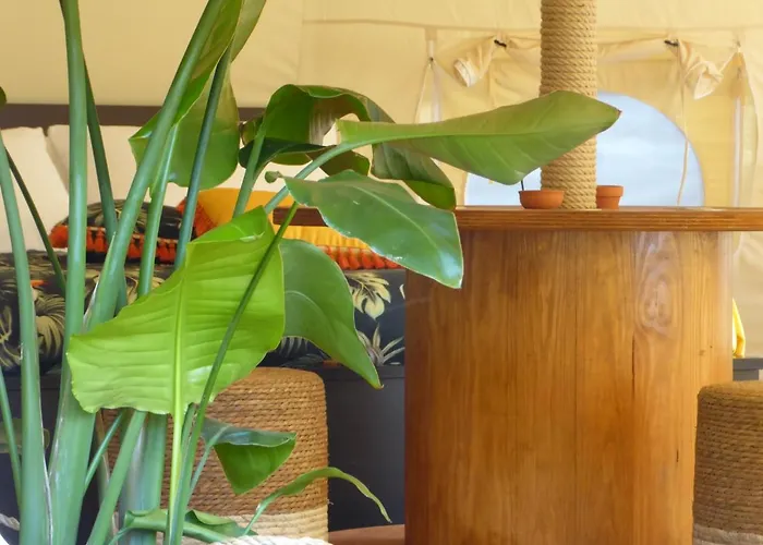 B&B Oasi Degli Dei 3*