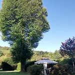 Oasi Degli Dei 3*
