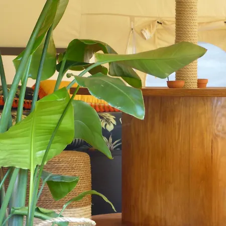 Bed & Breakfast Oasi Degli Dei 3*