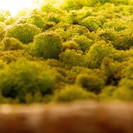 Panzió Oasi Degli Dei 3*